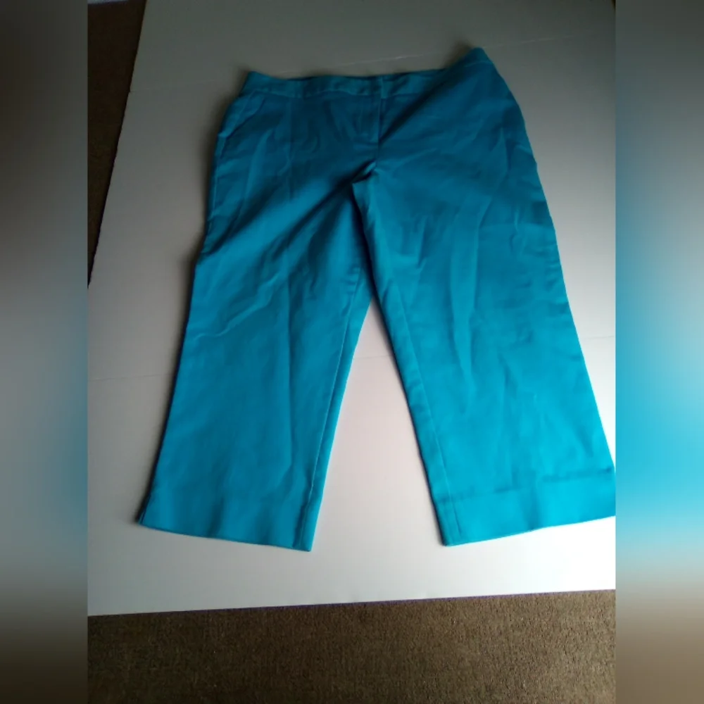 RAFAELLA Women's Turquoise Cropped Pants SIZE 14 - Picture 4 of 7